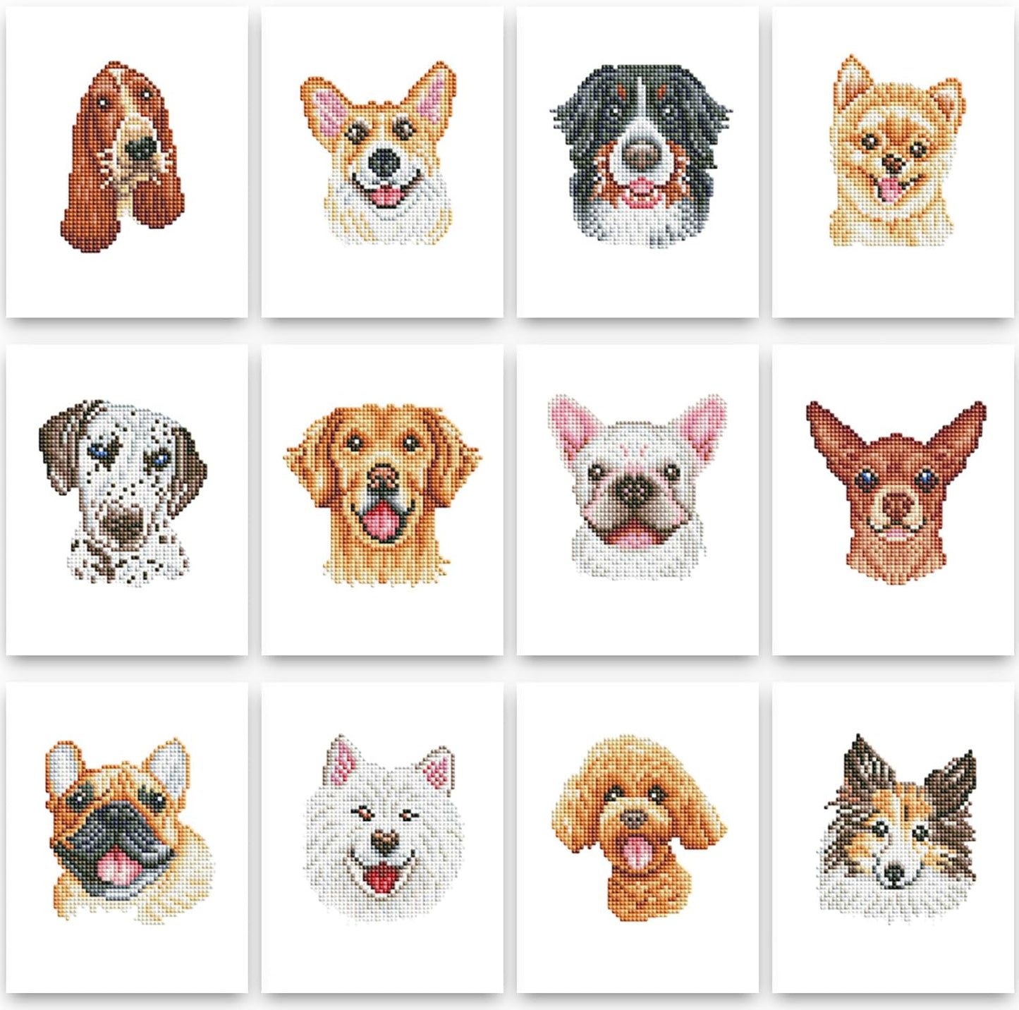 Puppy Series