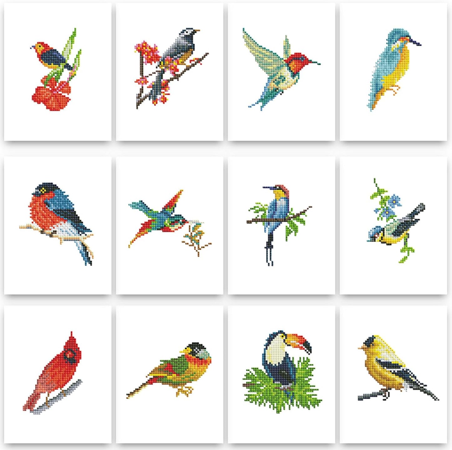 Birds Series