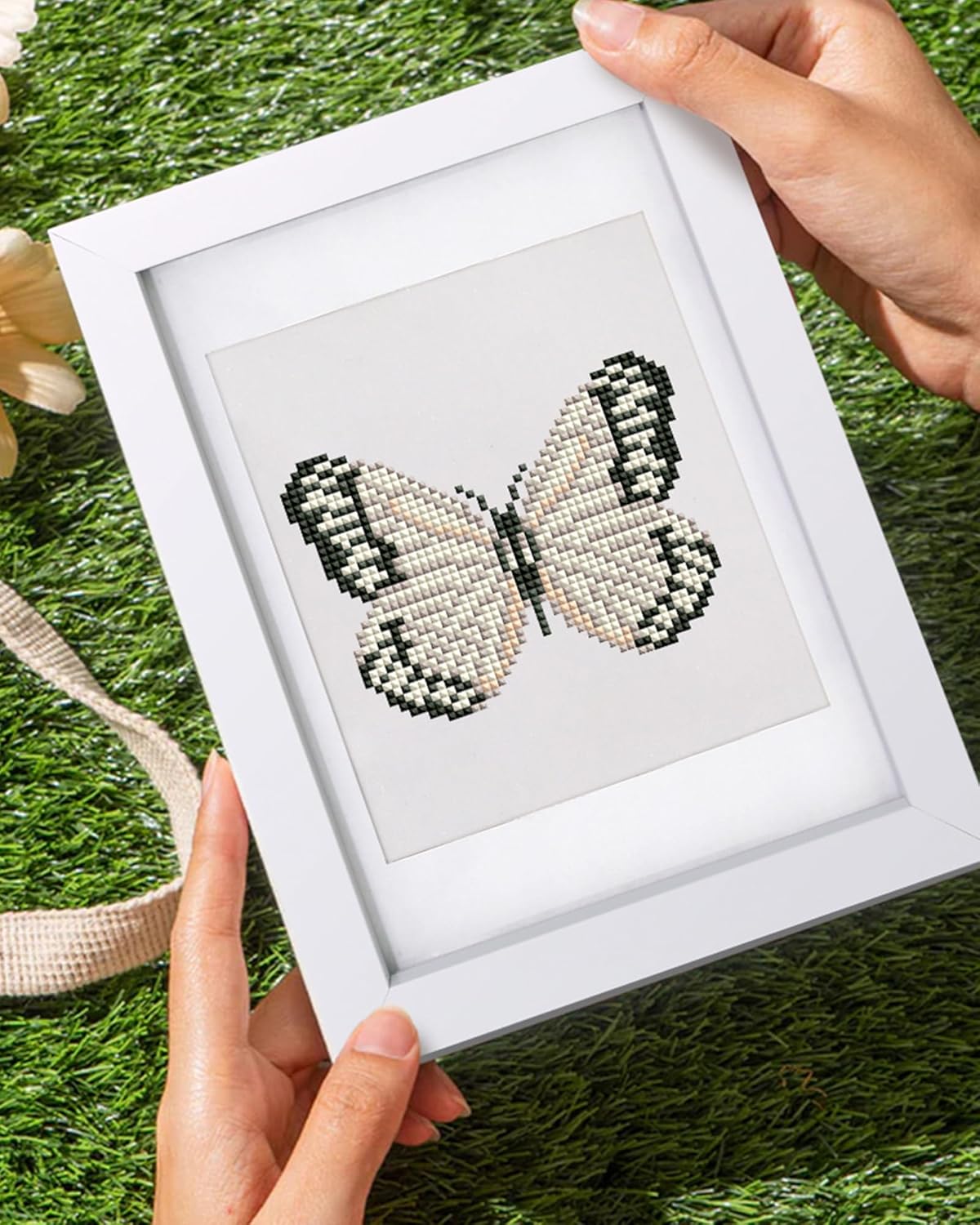 Butterfly-2 Series