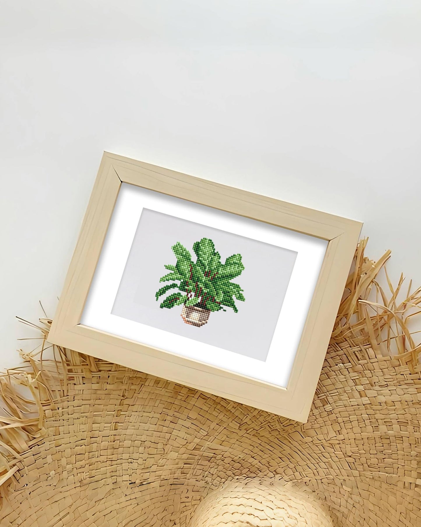 Plants Series