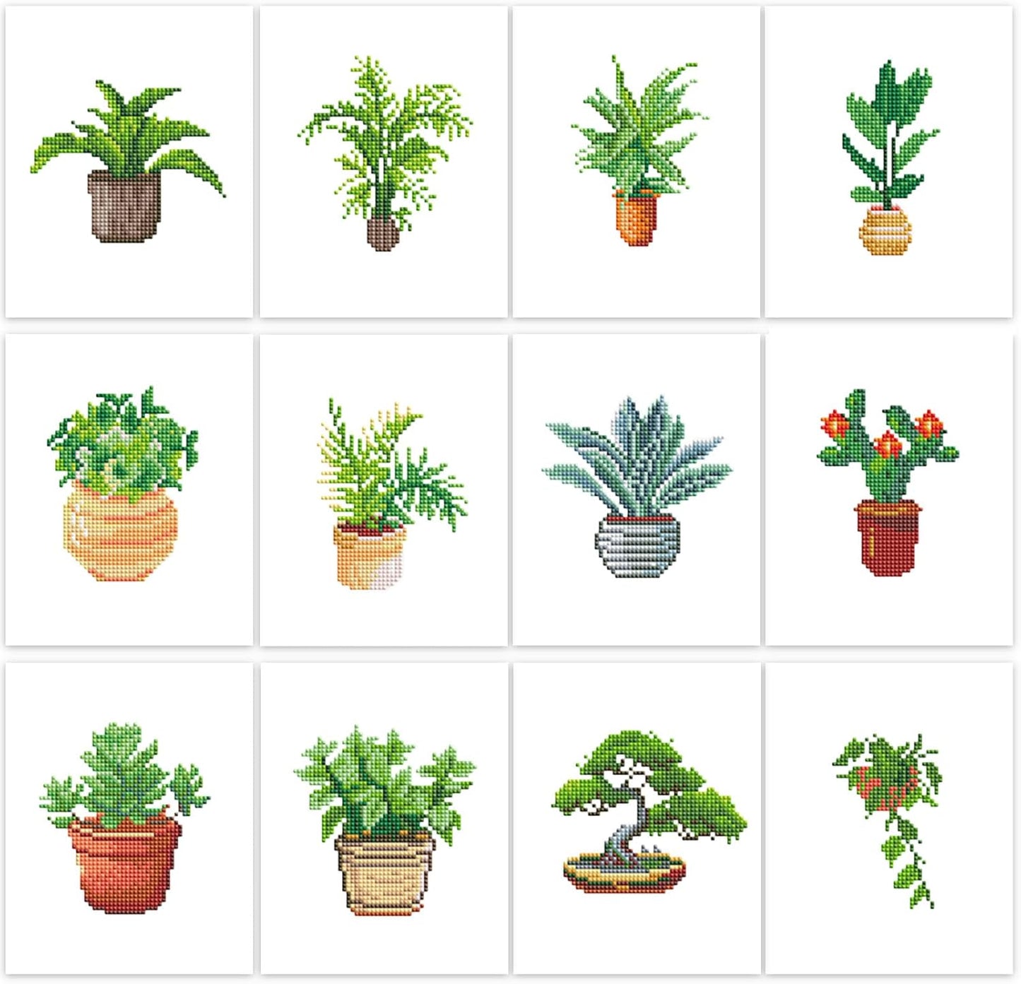 Plants-2 Series