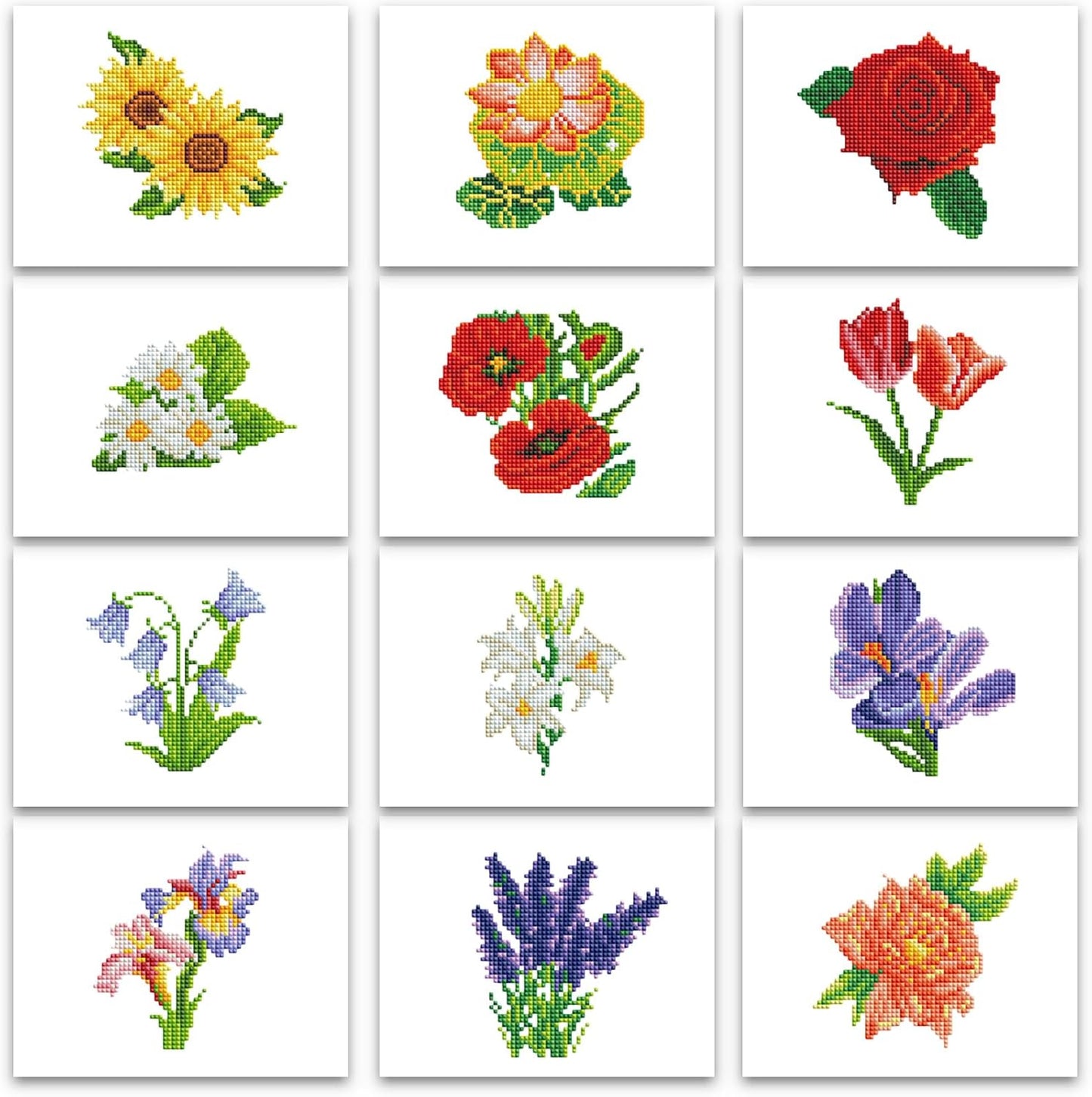 Flowers-1 Series