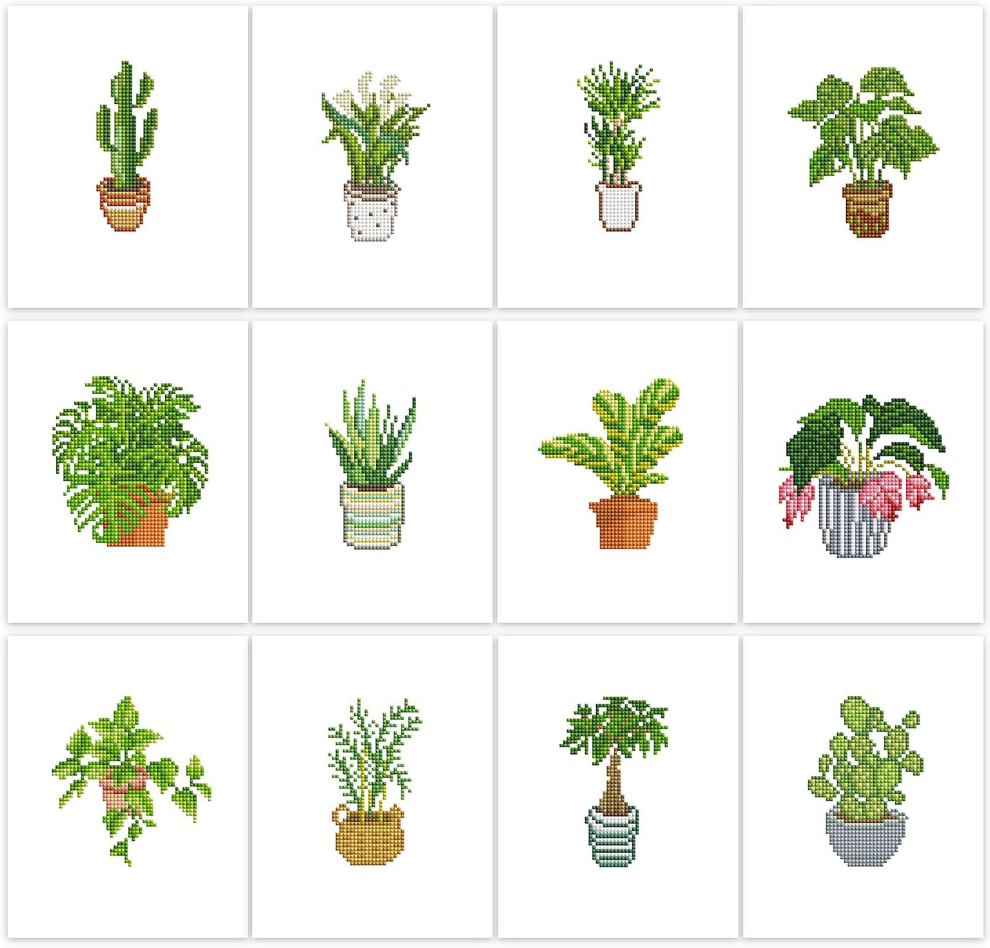 Plants-3 Series
