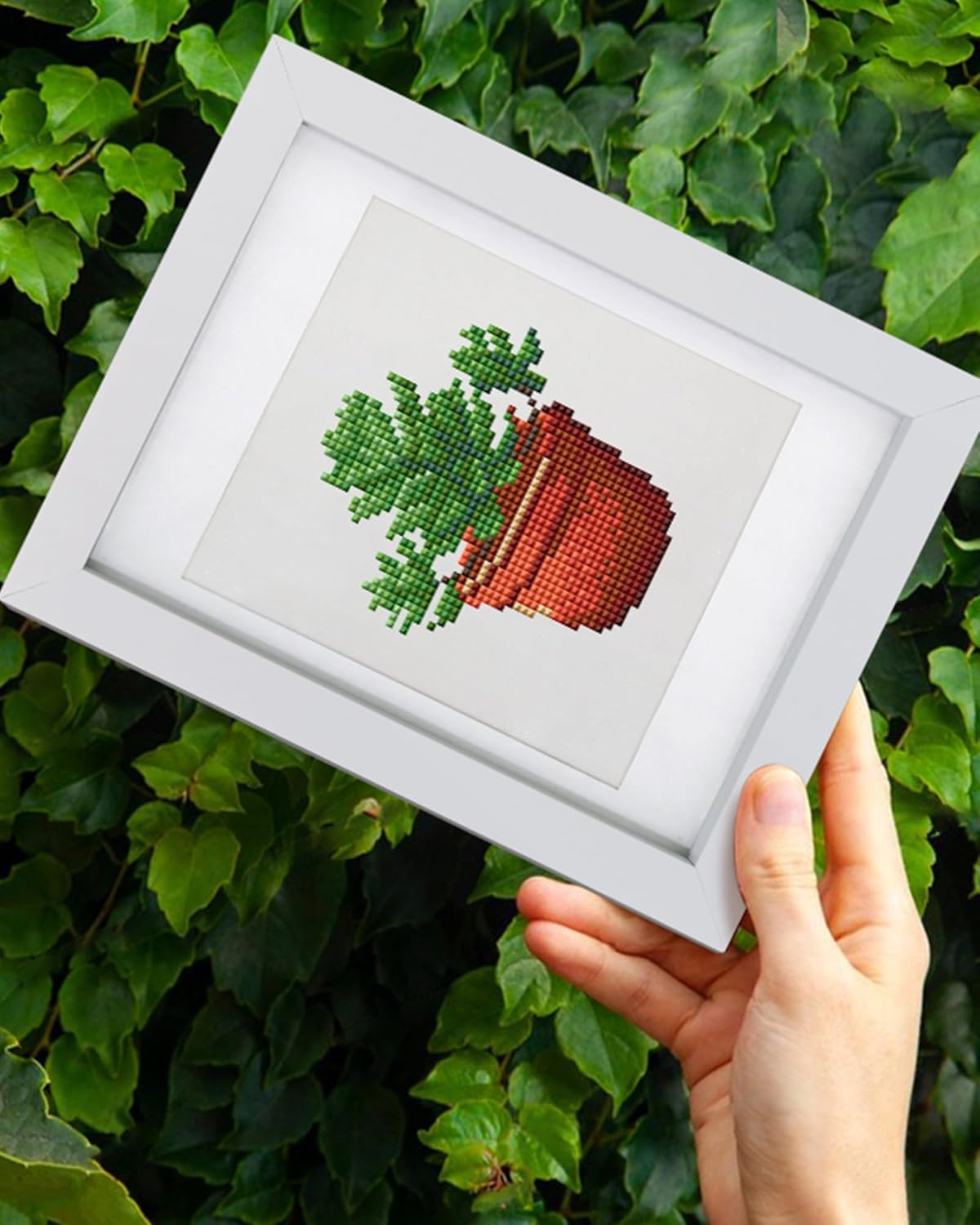 Plants-2 Series