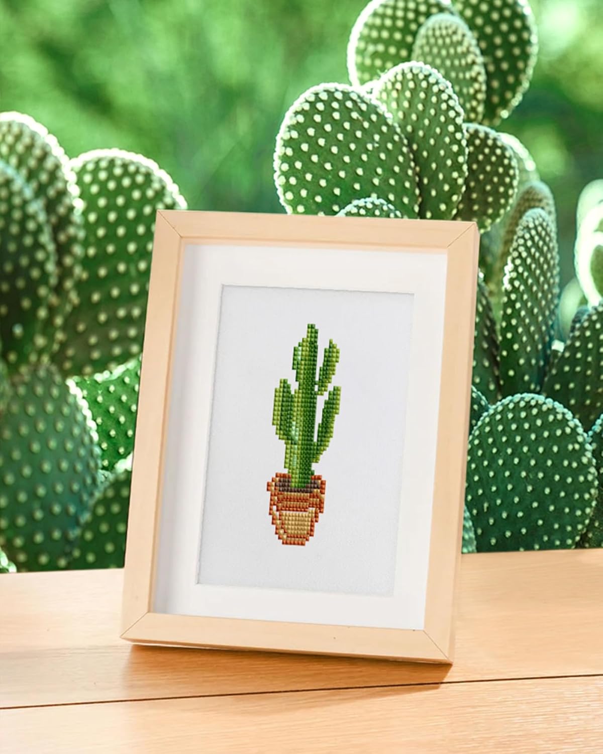 Plants-3 Series