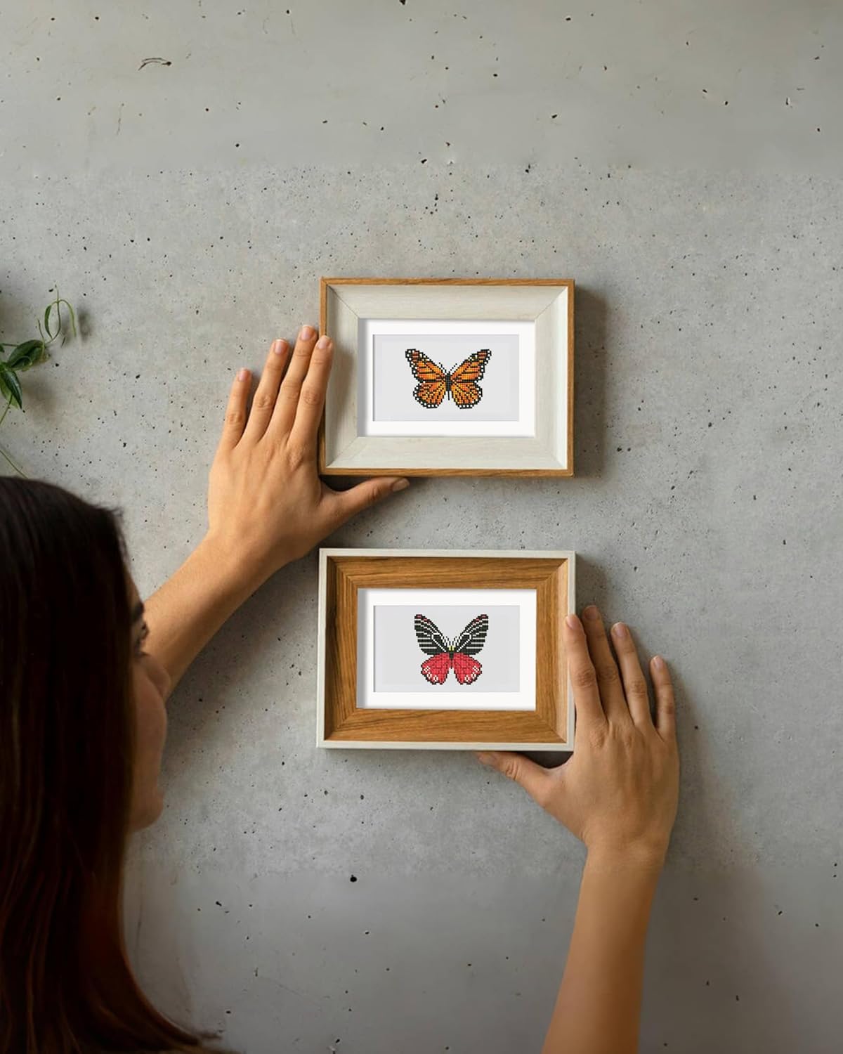 Butterfly-1 Series