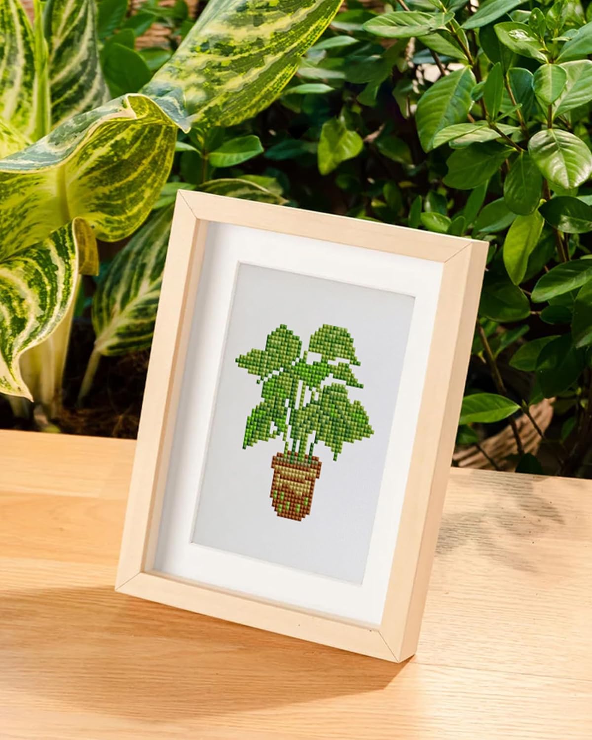 Plants-3 Series