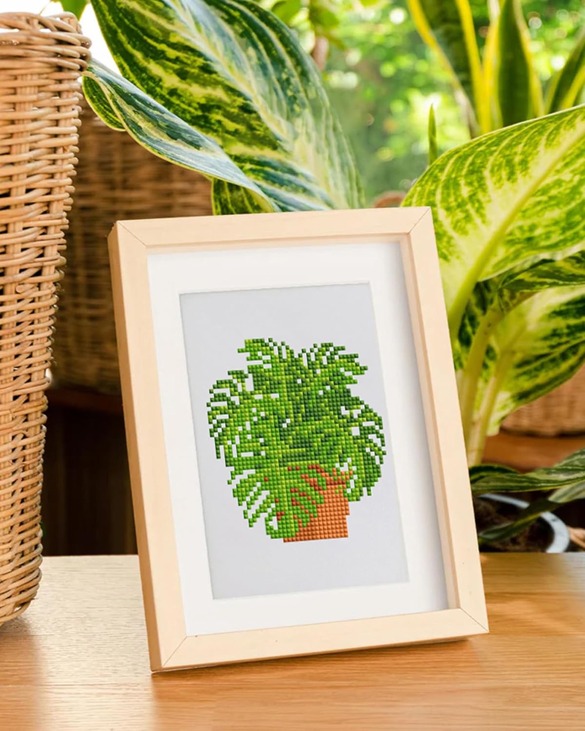 Plants-3 Series