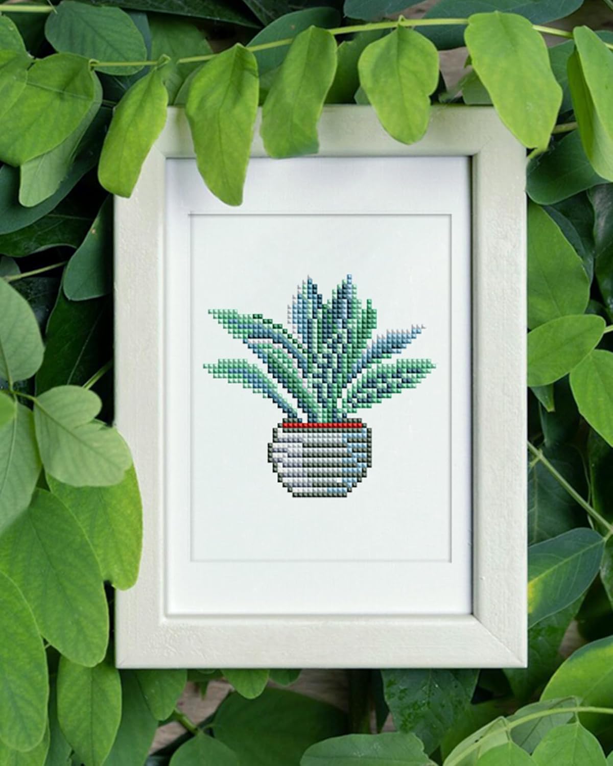Plants-2 Series