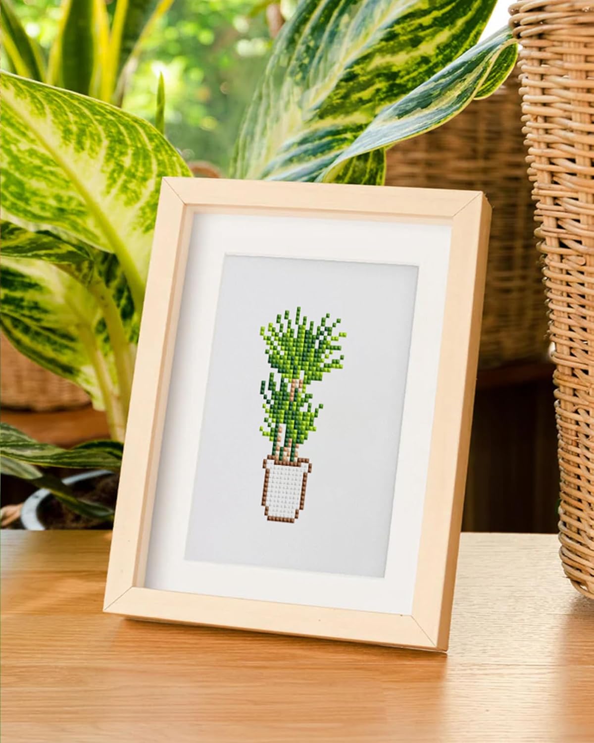 Plants-3 Series