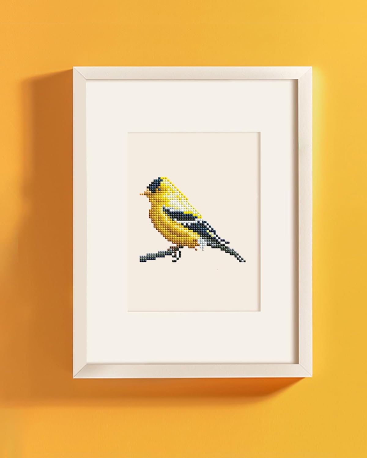 Birds Series