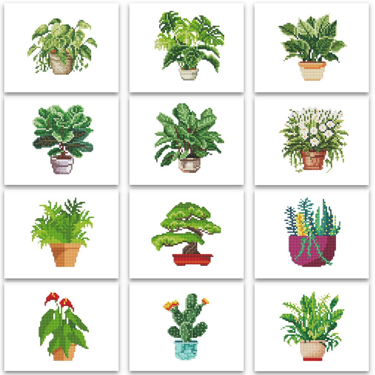 Plants Series