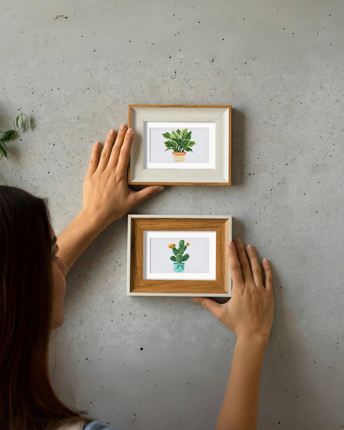 Plants Series