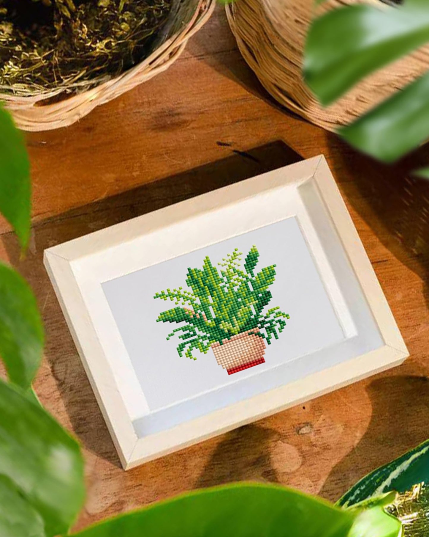 Plants Series