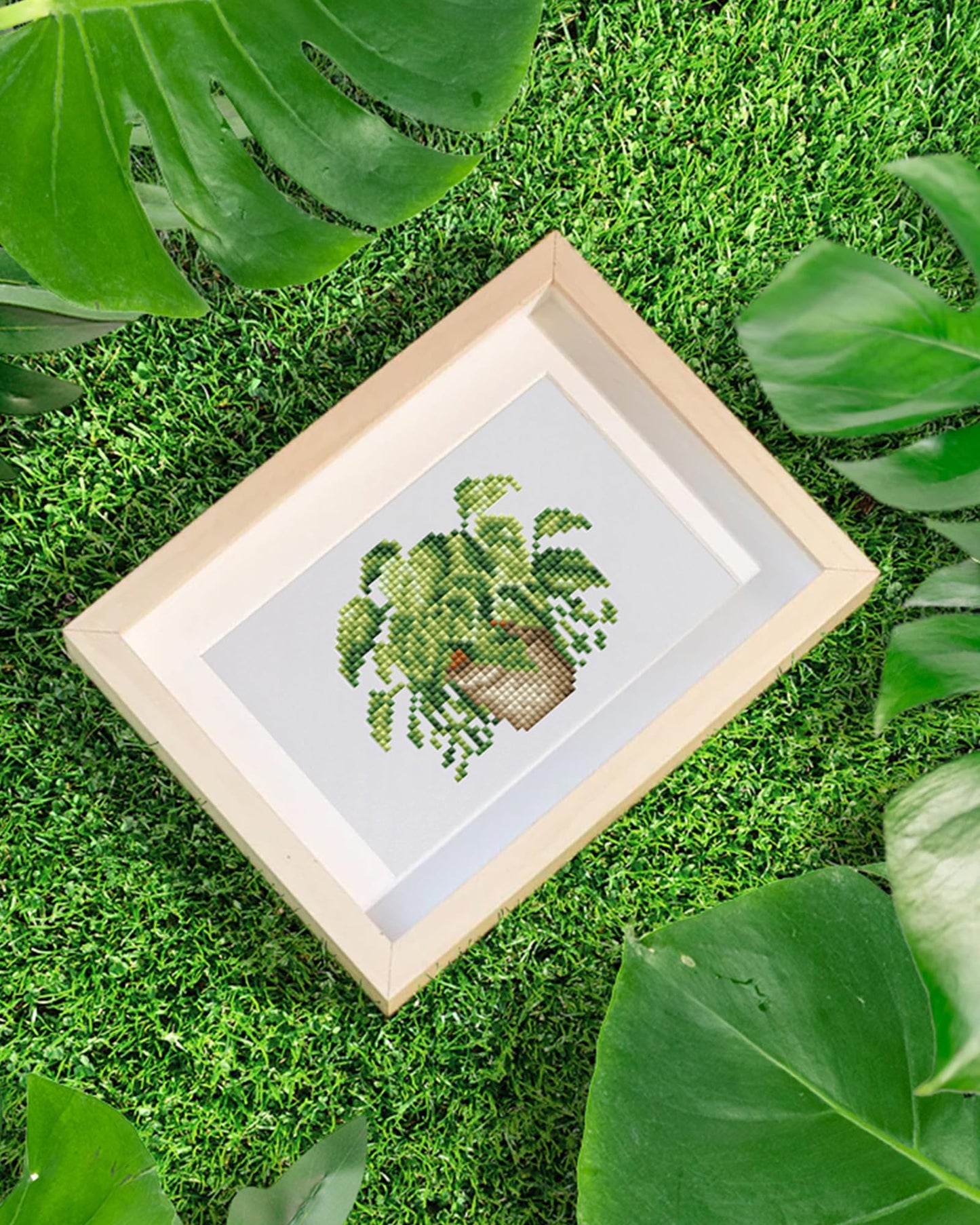 Plants Series